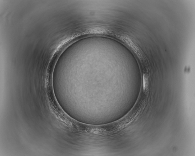 X0000090780579200707201525