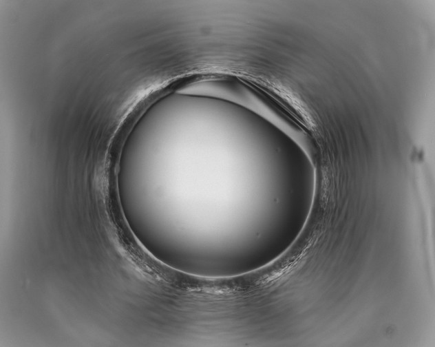 X0000090780580200707201525