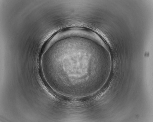 X0000090780581200707201525