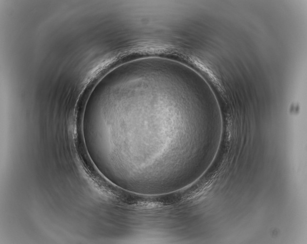 X0000090780582200707201525