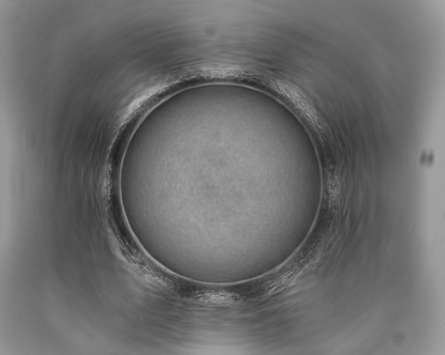 X0000090780583200707201525