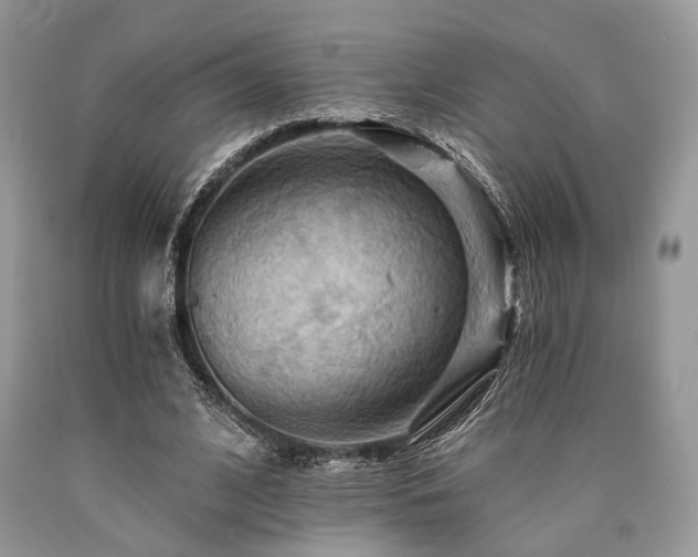 X0000090780584200707201525