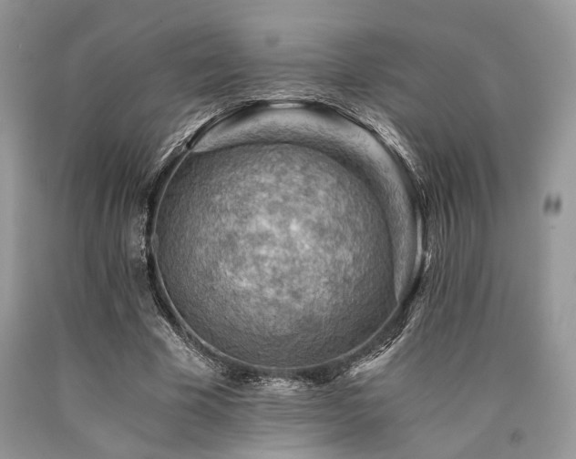 X0000090780585200707201525