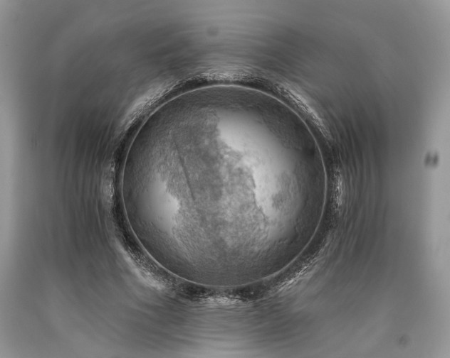 X0000090780586200707201525