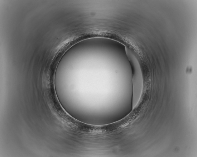 X0000090780587200707201525