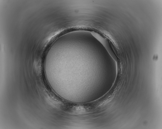 X0000090780588200707201525