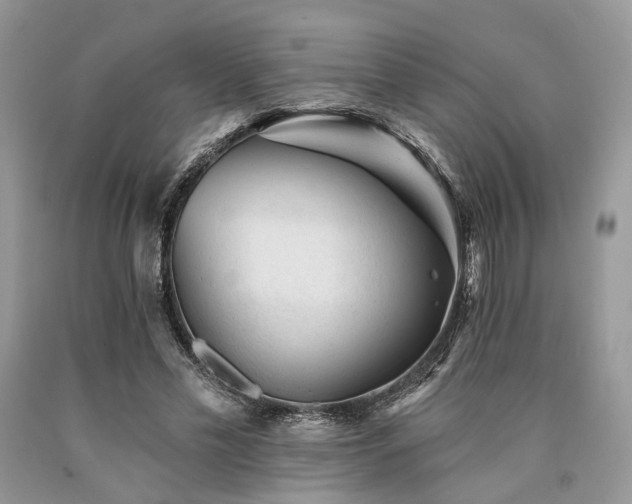 X0000090780589200707201525