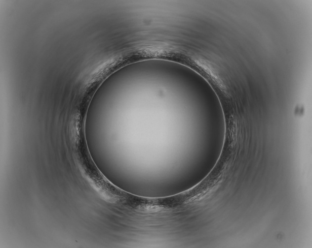 X0000090780590200707201525