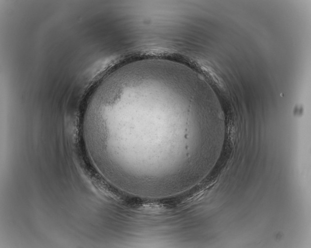 X0000090780591200707201525