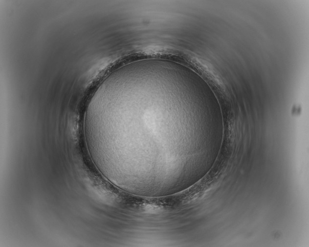 X0000090780592200707201525