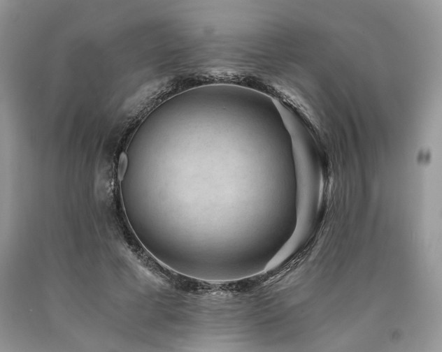 X0000090780593200707201525