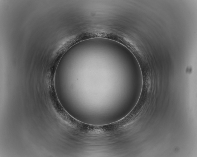 X0000090780594200707201525