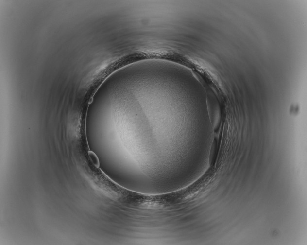 X0000090780596200707201525