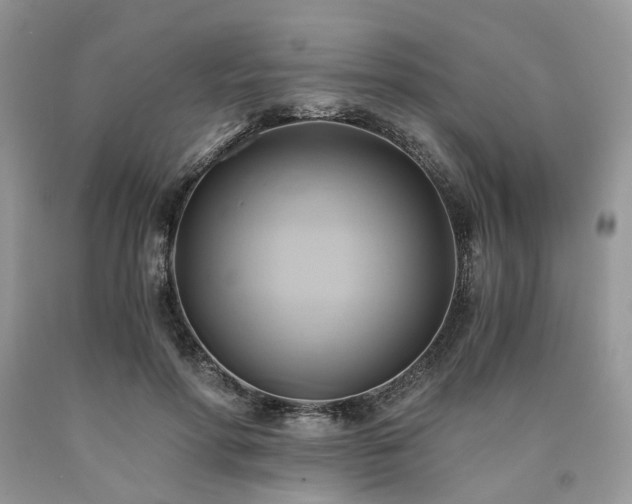 X0000090780598200707201525