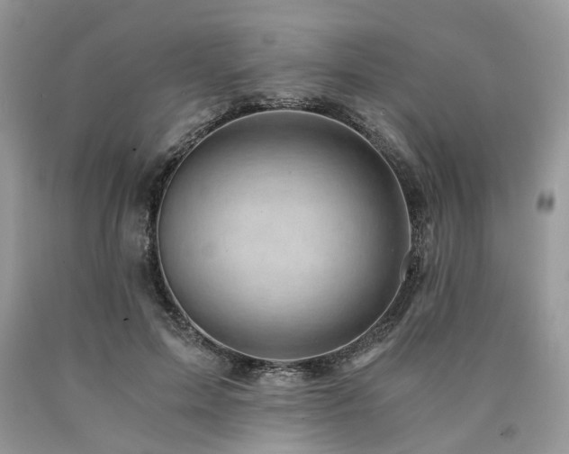 X0000090780599200707201525