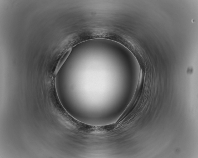 X0000090780601200707201525