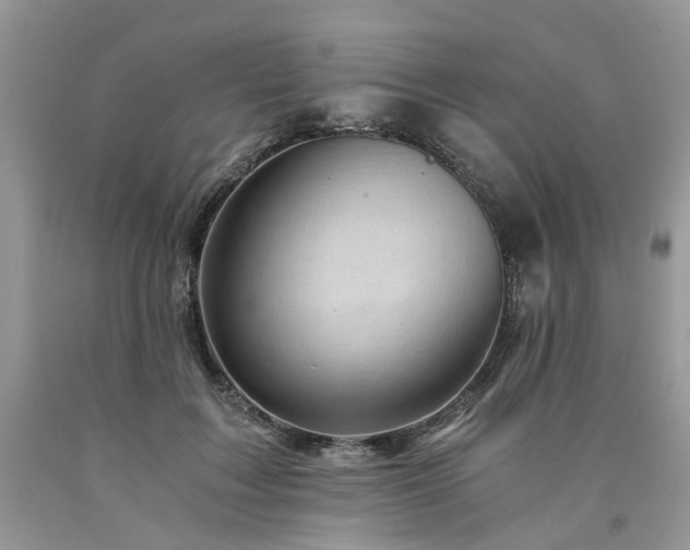 X0000090780603200707201525