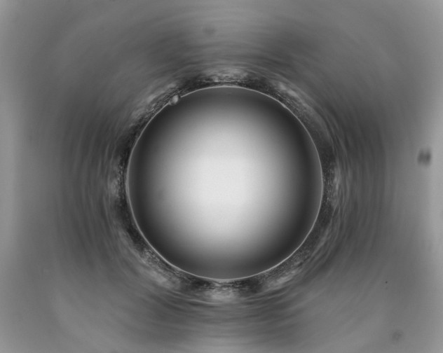 X0000090780604200707201525