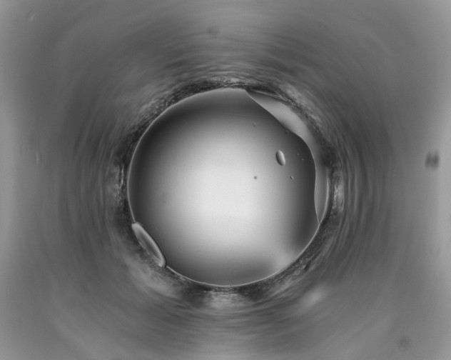 X0000090780605200707201525