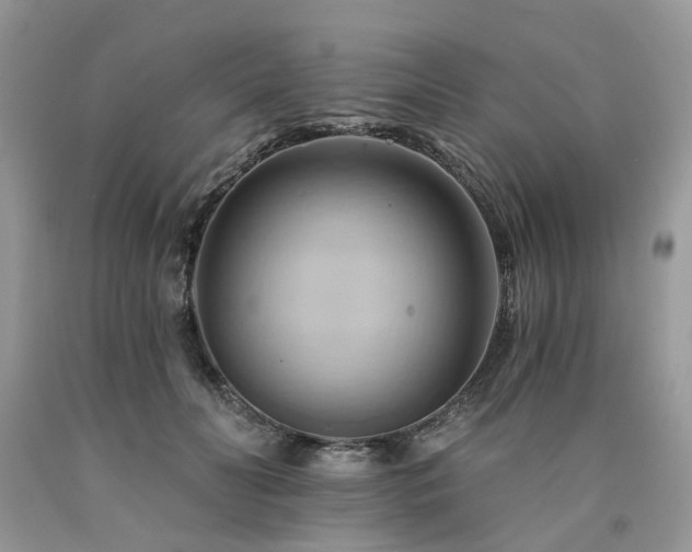 X0000090780606200707201525