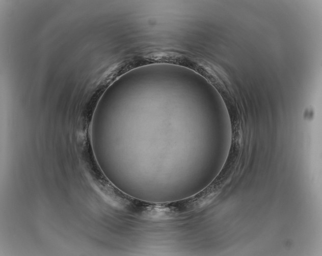 X0000090780607200707201525