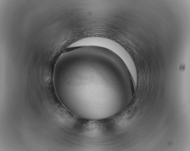 X0000090780608200707201525