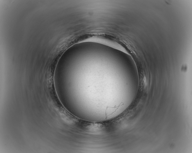 X0000090780609200707201525