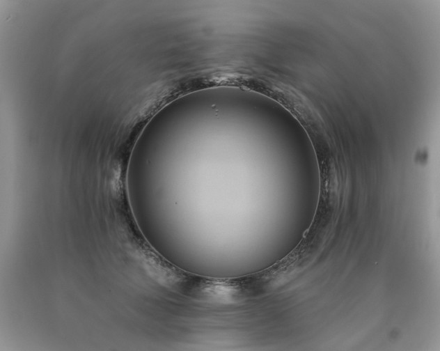 X0000090780610200707201525