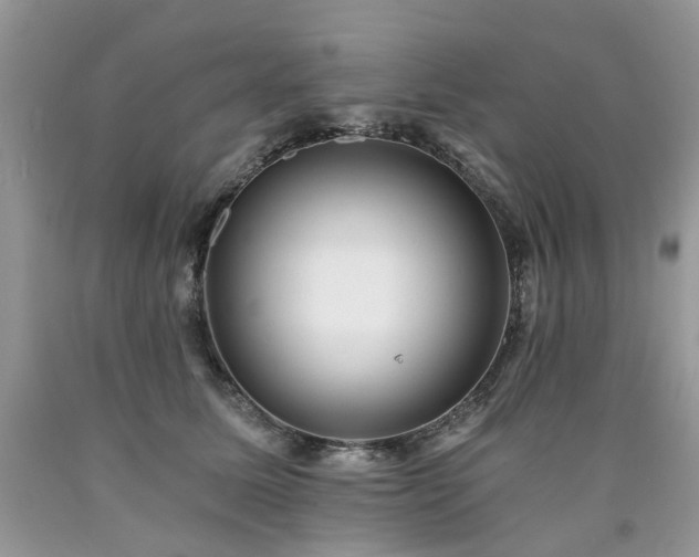 X0000090780611200707201525