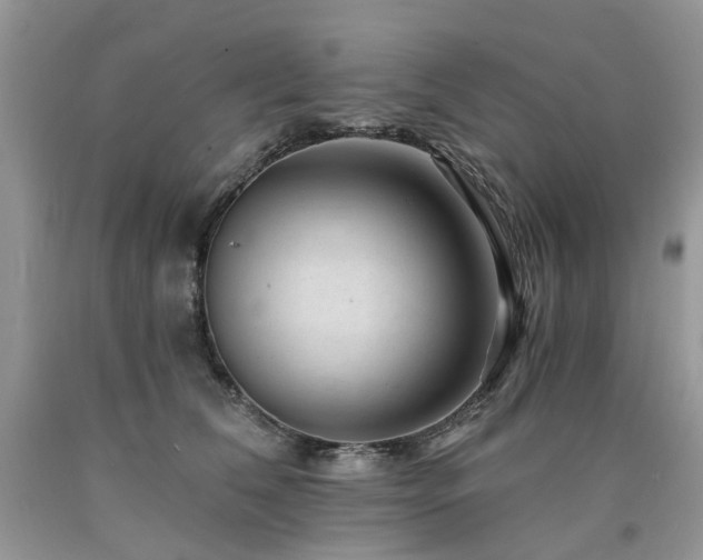 X0000090780612200707201525