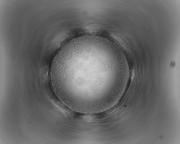 X0000090780615200707201525
