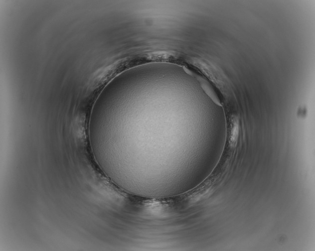 X0000090780616200707201525