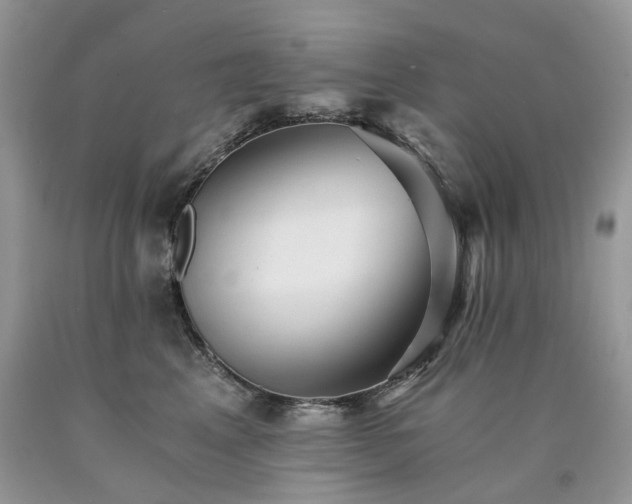 X0000090780617200707201525