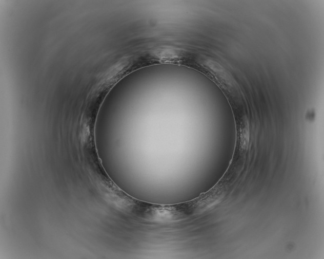 X0000090780618200707201525