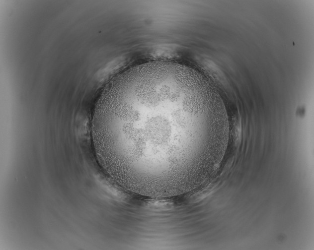 X0000090780619200707201525