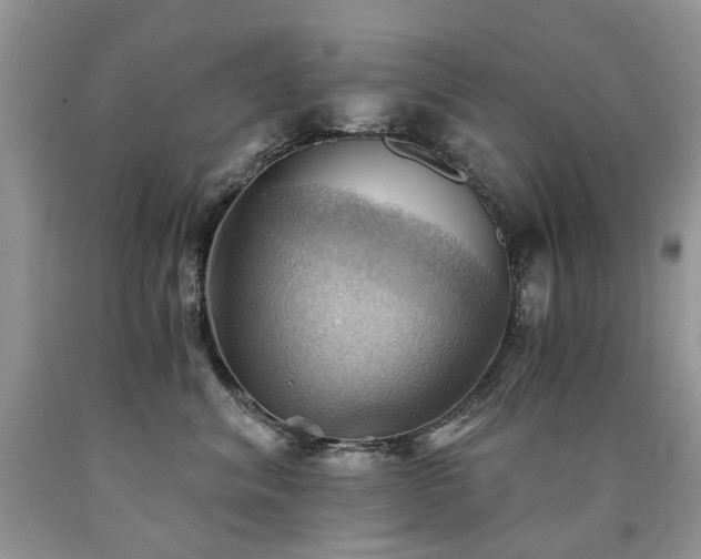 X0000090780620200707201525