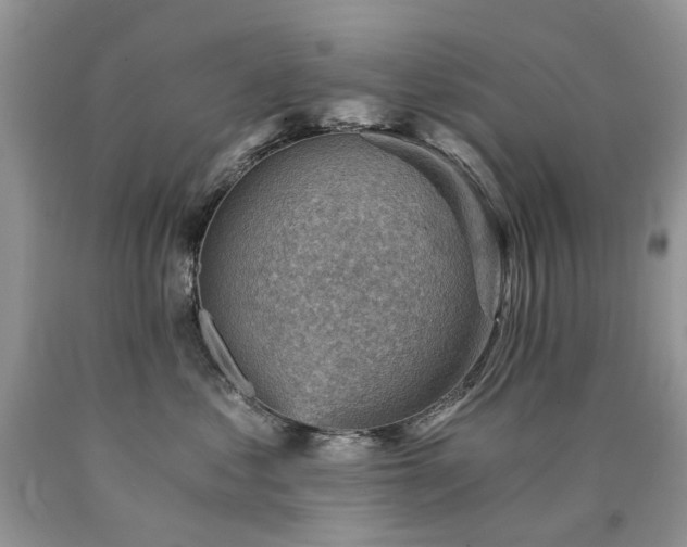 X0000090780621200707201525