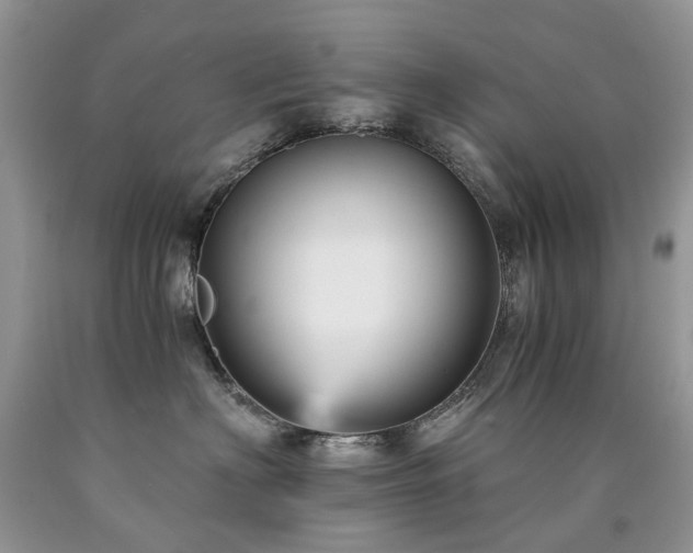 X0000090780622200707201525