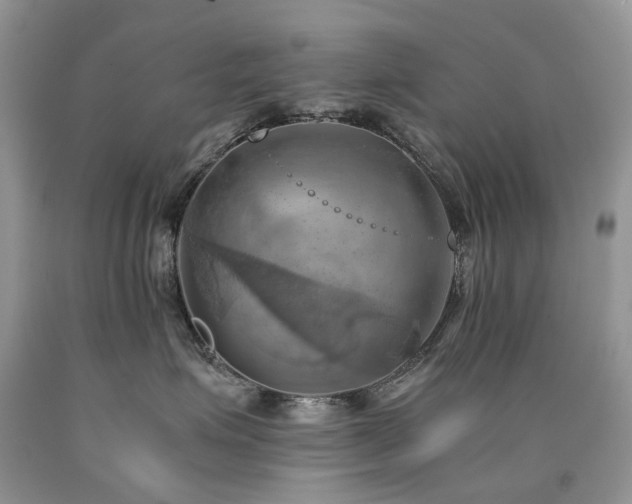 X0000090780623200707201525