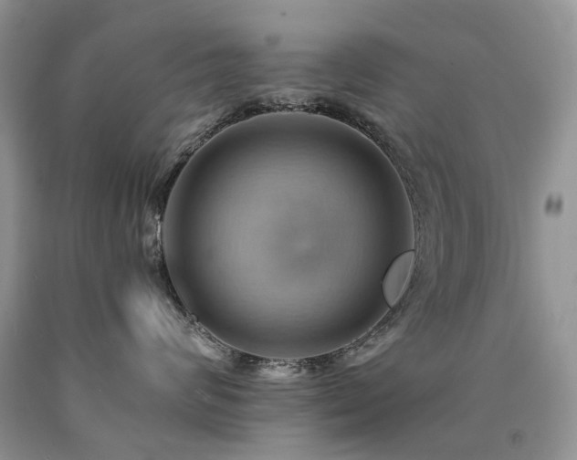 X0000090780624200707201525