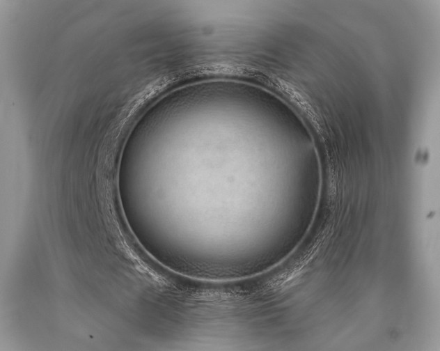 X0000090780625200707201524
