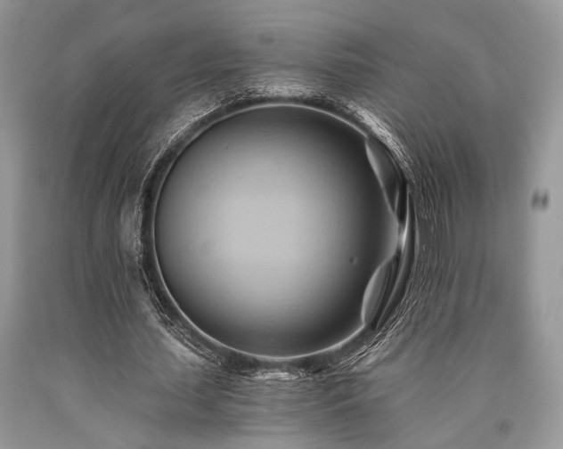 X0000090780627200707201524