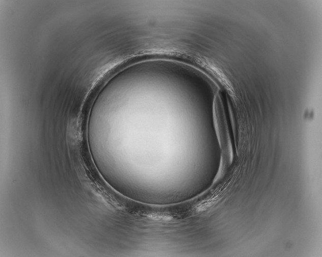 X0000090780628200707201524