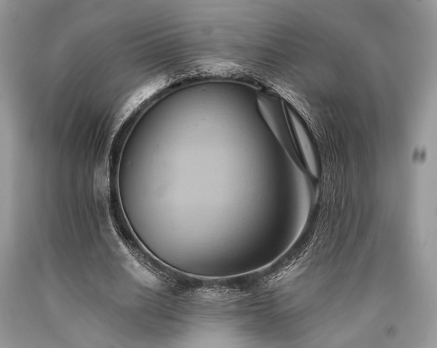X0000090780630200707201524