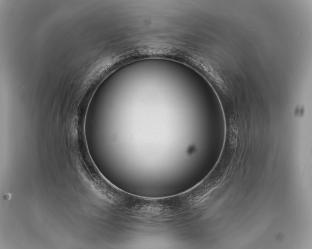 X0000090780631200707201524