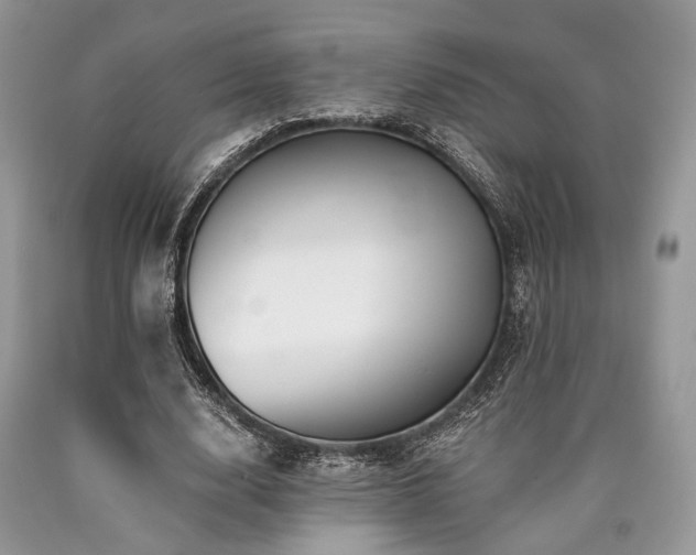 X0000090780632200707201524