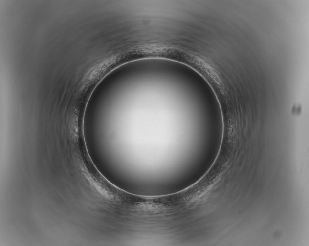 X0000090780633200707201524