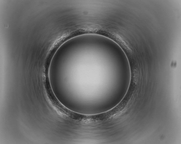 X0000090780634200707201524