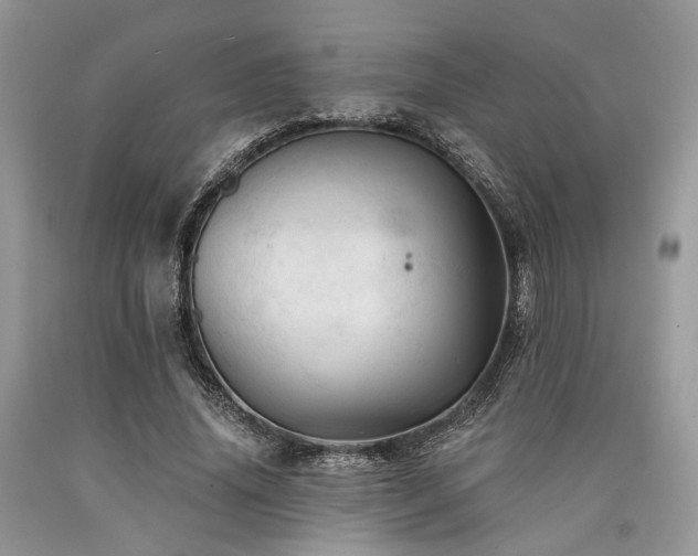 X0000090780636200707201524