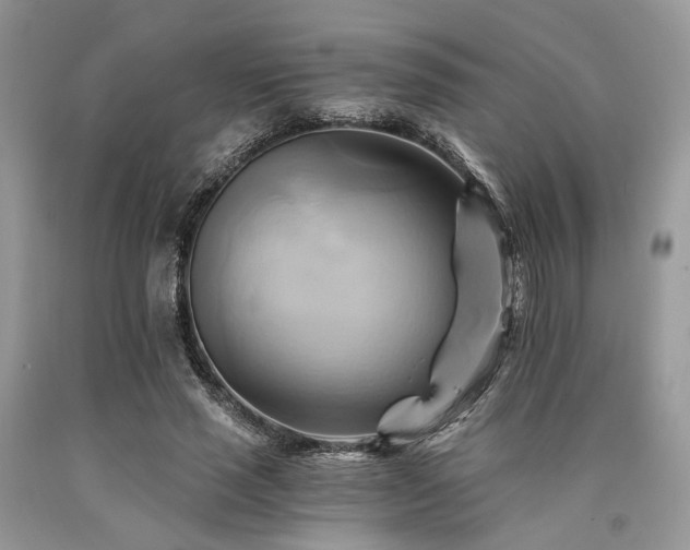 X0000090780637200707201524